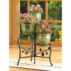 Country Apple Plant Stand